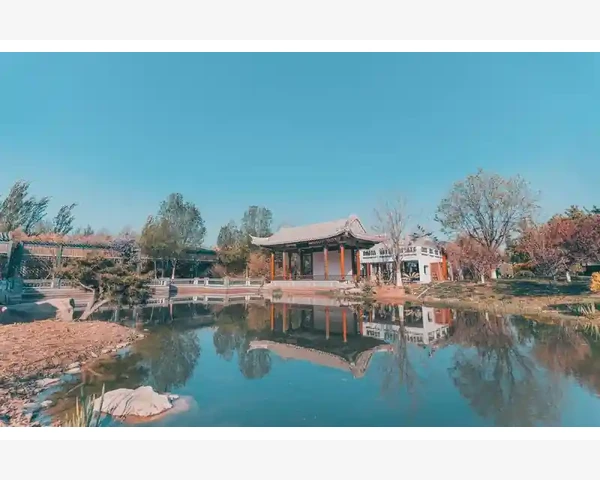 祛寒止咳祛痰汤：传统中医秘方缓解寒冷季节的咳嗽和痰多问题