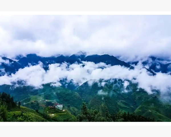 祛咳化痰：水果味冲剂缓解咳嗽的中医科普
